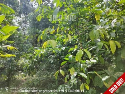 Land Suitable for Residential/Resort Construction for Sale Near Ramakkalmedu, Idukki.