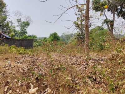 16.3 CENTS OF RESIDENTIAL PLOT IN VATTAPARA , TRIVANDRUM