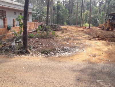 17 CENTS  RESIDENTIAL PLOT FOR SALE AT KANNUR