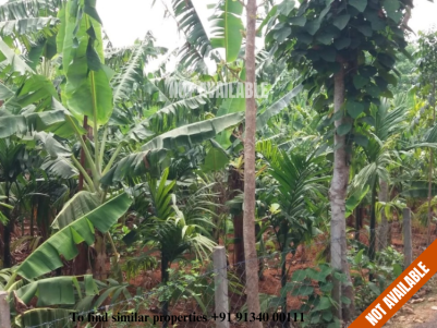 1.63 Acres of Residential plot for Sale near Ottappalam,Palakkad