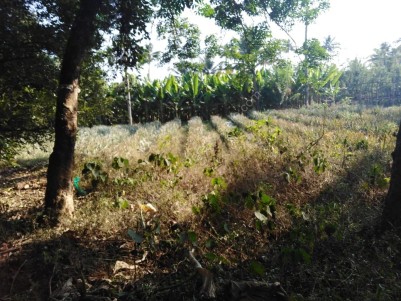 7 Acres of land for sale at Pulluvazhy, Ernakulam 