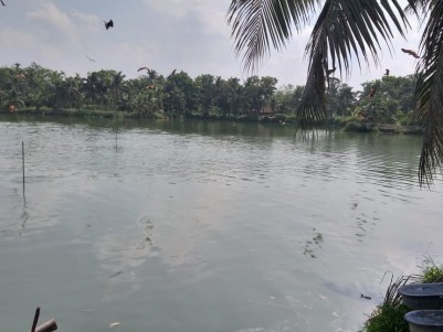 8.5 Acre Fish farm for sale at Vaikom, Kottayam