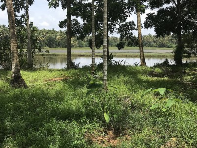 90 Cent Riverside Land For Sale at Mala,Thrissur