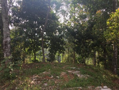Land For Sale in Munnar