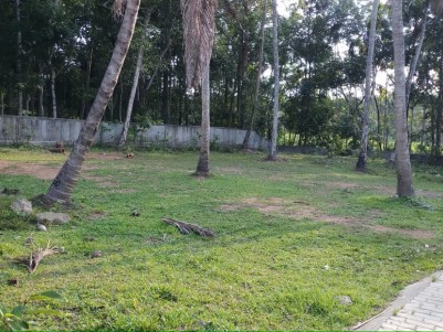 RESIDENTIAL PLOT FOR SALE AT ANGAMALY