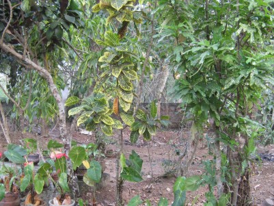 10 CENTS PLOT FOR SALE IN KATTAIKONAM - NEAR KAZHAKOOTTAM  THIRUVANATHAPURAM