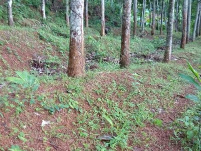 Plot for sale in Kilimanoor