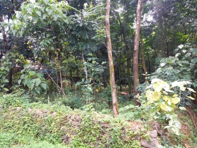 Land For Sale in Puthencruz