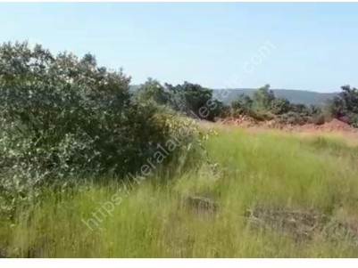 Land for Sale at Hosangadi,Kasaragod 