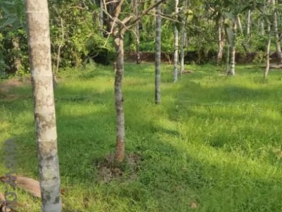 16 cent Residential Plot for sale in Panniyannur