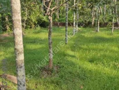 16 cent Residential Plot for sale in Panniyannur