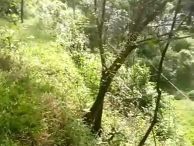 6 Acres and 40 Acre Farm Land for Sale at  Thottilpalam,Kozhikode