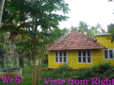 1.23 Acre Land with an Old House For Sale in Sulthan Bathery,Wayanad