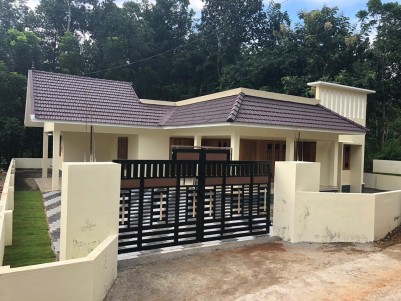 3BHK,2000SqFt House in 11Cents for sale in Palickathodu,Kottayam
