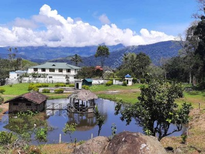 7 Acres of Plantation for sale at Thengakkallu,Elappara,Idukki