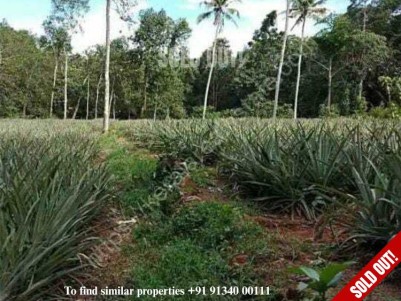 LAND FOR SALE IN VEMBILLY, KOTTAYAM