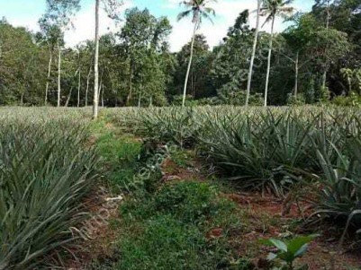 LAND FOR SALE IN VEMBILLY, KOTTAYAM