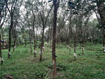 Rubber Plantation for sale  at Kottayam