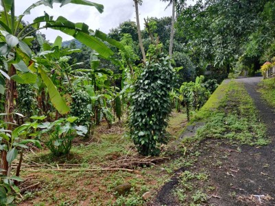 Residential land for sale in Moolamattom,Idukki