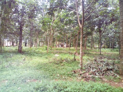 Residential Land for sale at Pannimattam,Kottayam