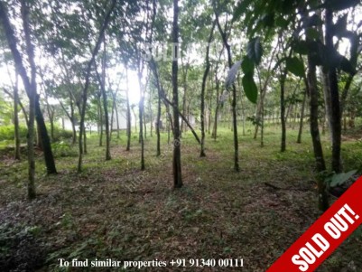 32 Cents of Land for sale at Vettiyar, Mavelikkara, Alappuzha