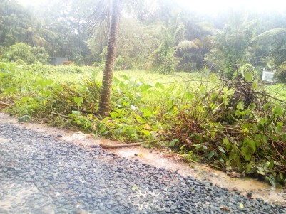 18 cent Residential land for sale  at Ettumanoor,Kottayam