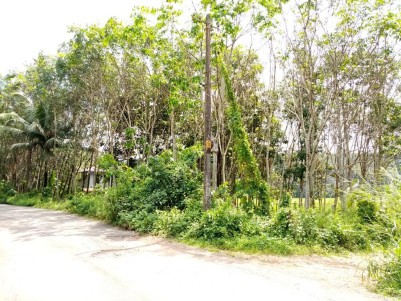 Residential Land for sale near Kottarakara,Kollam