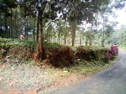 43 Acre Residential Land for sale near Kanjirapally,Kottayam