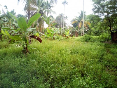 2.5 Acre Commercial Land for sale near Kottayam Town