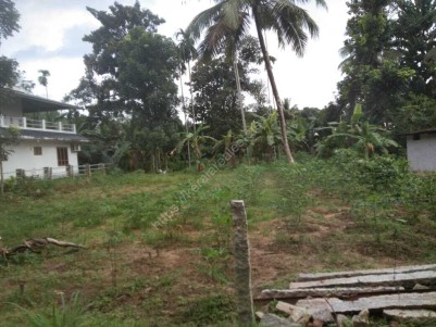 Residential Land for sale at Adoor,Pathanamthitta