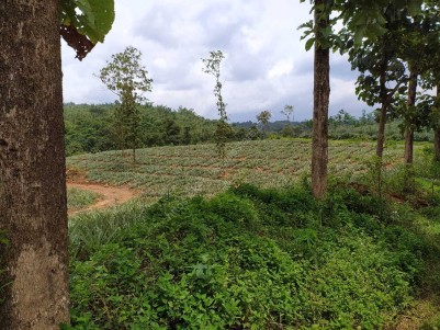 150 Acre Rubber Estate for sale at Kottayam