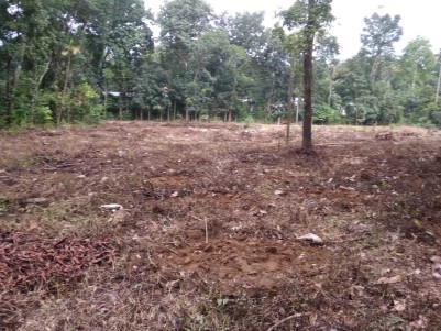 1.42 Acres of Land for Sale at Krariyeli, Perumbavoor, Ernakulam