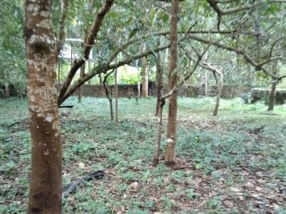 73 Cents of Land for sale at Kunhimangalam, Payyannur,Kannur