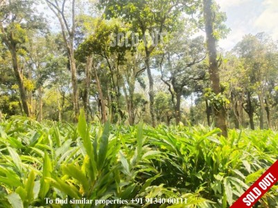 10 Acre Cardamom Plantation for sale @ Udumpanchola, Idukki