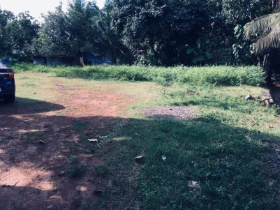 Plots for sale - 11 Cents near Aluva-Angamaly Route,Ernakulam