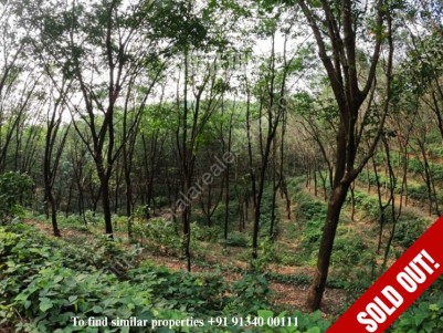 32.5Acres of land (Rubber +Arecanut) for sale in Sreekandapuram, Kannur