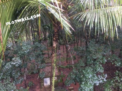 Residential Land for sale in Kodumon. House Plot for sale in Aickadu, Pathanamthitta.
