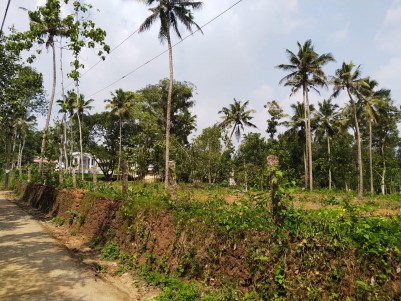 Residential Land for sale in Kumbanad. House plot for sale in Pathanamthitta