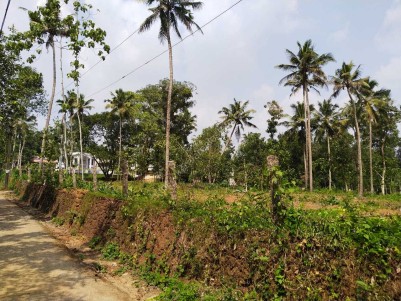 Residential Land for sale in Kumbanad. House plot for sale in Pathanamthitta