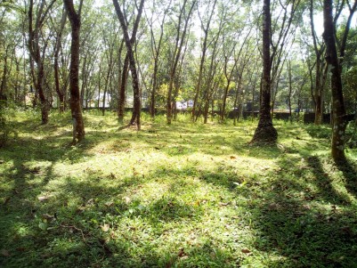 1.10 Acre Residential land for sale near Kaduthuruthy, Kottayam