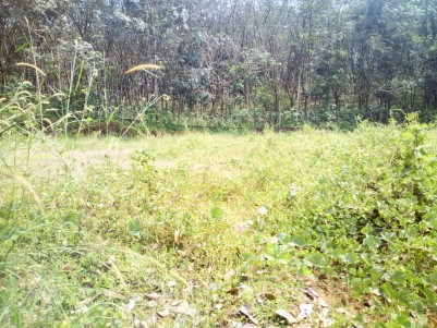 50 Cent Residential land for sale Seenayi gardens Kaduthuruthy, Kottayam