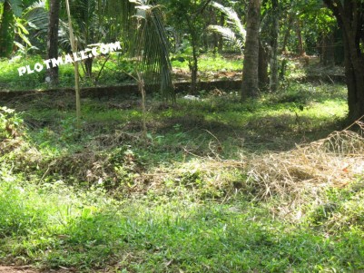 Agriculture Land  for rent in Muzhakkunnu. Farm Land for rent in peravoor, Kannur.