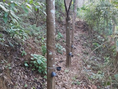 4 Acres Rubber Plantation and 1.70 Acre Agricultural Land for sale Near Murickassery Town, Idukki