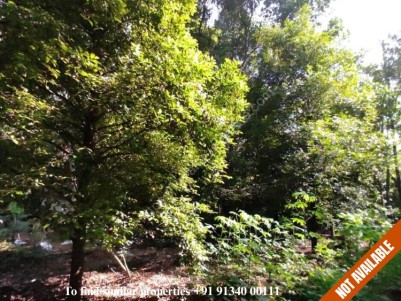 140 സെന്റ് പുരയിടം for sale @ Elavoor, Ernakulam