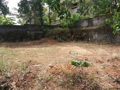 Rectangle plot for sale at Chengottukonam, Trivandrum