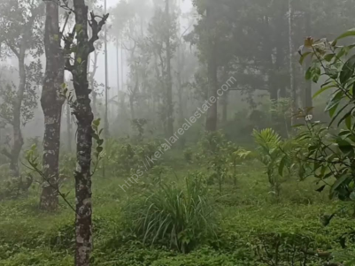 2.59 Acre Farm Land for Sale in Mananthavady, Wayanad - 35,000/Cent