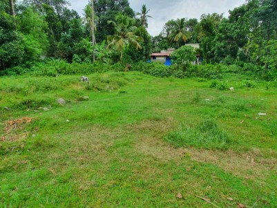 Good Residential Plot @ Thiruvankulam, Kochi for sale on single lot or on divided