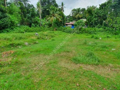 Good Residential Plot @ Thiruvankulam, Kochi for sale on single lot or on divided