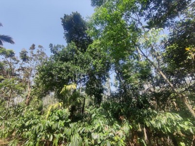 Coffee & Multi crop estate - up to 5 Acres along with contiguous paddy fields 1.5 acre to 5.3 acres.