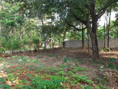 15 Cents of Residential Land for sale at Vavarambalam, Near Technocity, Trivandrum
